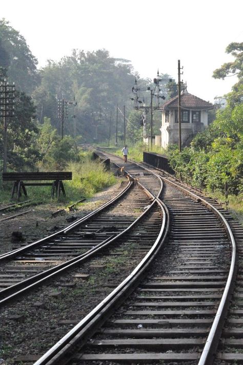 Railroad Track Pictures, Train Tracks Photography, Track Pictures, Scenic Railroads, Rail Transport, Railroad Photography, Train Photography, Old Trains, Trainspotting