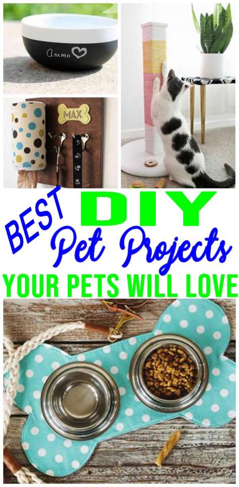 Pet Crafts To Make And Sell, Dog Stuff To Make And Sell, Diy Dog Toys To Sell, Crafts For Pets To Sell, Dog Crafts To Sell Easy Diy, Diy Pet Crafts To Sell, Dog Projects Diy, Diy Pet Gifts, Cat Crafts To Sell