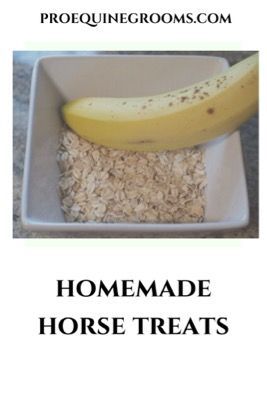 Horse Cookies Recipes, Homemade Horse Treats, Horse Cookies, Horse Food, Diy Snacks, Horse Treats, Riding Lessons, Horse Grooming, Natural Care