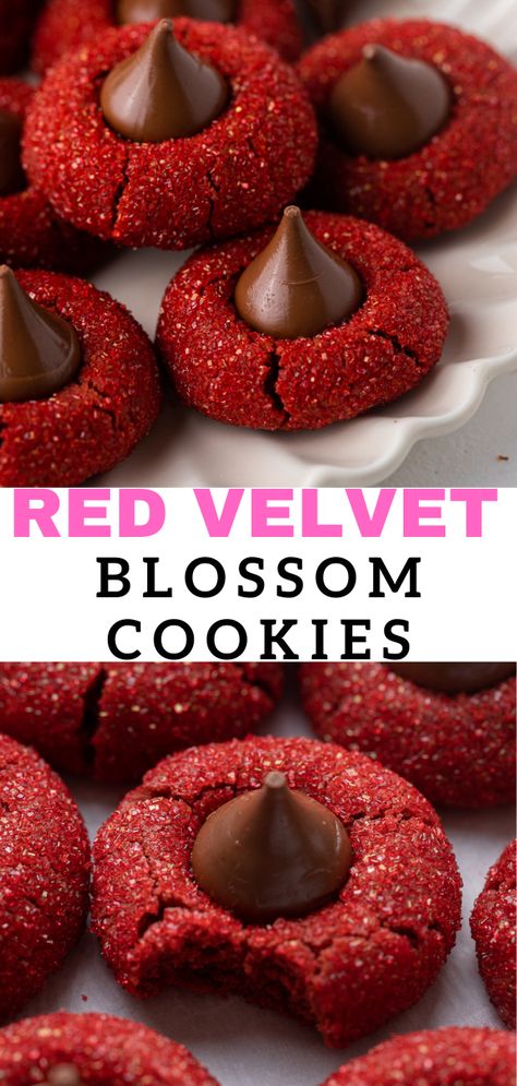 These easy Hershey’s Red Velvet Blossoms are similar to thumbprint cookies but instead of jam or curd in the center, you’ll have a Hershey’s Kiss chocolate. These cookies are bright red and would fit perfectly for Valentine’s day or for Christmas. Red Velvet Thumbprint Cookies, Thumb Print Cookies Recipes Christmas, Hershey Kiss Thumbprint Cookies, Thumbprint Cookies Hershey Kiss, Baking Ideas Easy, Christmas Thumbprint Cookies, Blossoms Cookies, Thumbprint Cookies Christmas, Red Cookies