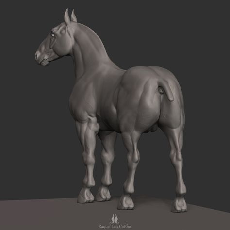 Horse - ZBrushCentral 3d Horse, Zbrush Models, Horse Coat Colors, Horse Anatomy, Digital Sculpting, Animal Anatomy, Horse Drawing, Horse Sculpture, Horse Designs