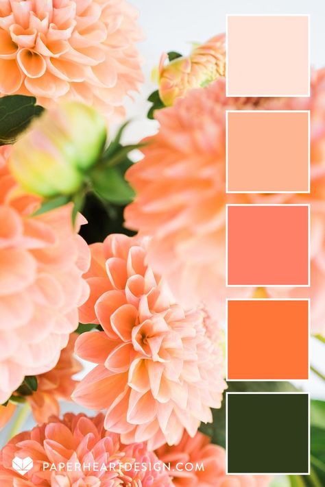 Color Palette: Doting on Dahlias — Paper Heart Design Secret Garden Color Palette, Flower Garden Color Palette, Color Combos Purple, Color Inspiration Colour Palettes, Orange And Forest Green, Flower Color Palette, Pretty Color Palette, Floral Color Palette, Peach Color Palettes