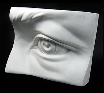 Anatomy Eyes, Cast Drawing, Sense Organs, Head Construction, Eye Study, Academic Drawing, Face Anatomy, Anatomy Sculpture, Sculpture Techniques