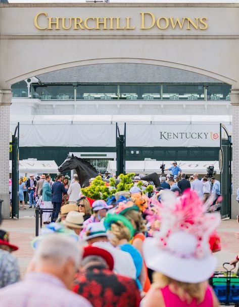 Churchill Downs to Cease Racing as It Investigates Deaths of Horses - The New York Times Preakness Stakes, Talk Derby To Me, Belmont Stakes, Churchill Downs, Derby Day, Life Vision Board, Life Vision, Triple Crown, Preakness