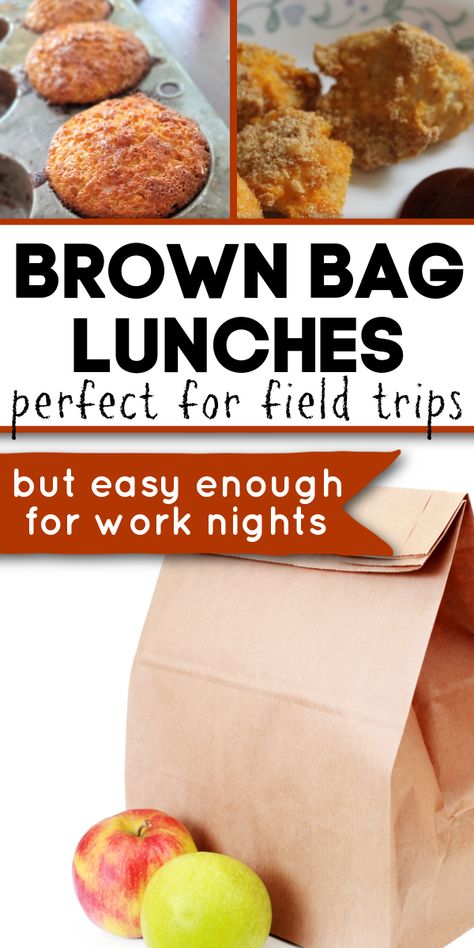 School Lunch That Doesnt Need To Be Cold, Outside Lunch Ideas, Packed Lunch For Field Trip, Lunch Ideas That Don't Need Refrigeration For Kids, Easy Brown Bag Lunch Ideas, Take Along Lunch Ideas, No Ice Pack Lunch Ideas, Pack Lunch No Fridge, Lunches For Field Trips