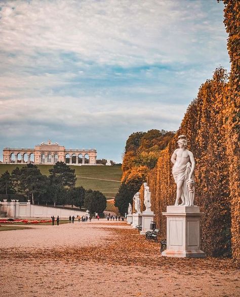 Vienna 🇦🇹 (@vienna_austria) • Instagram photos and videos Austria Landscape, Sunset Autumn, Vienna State Opera, Autumn Sun, Travel Architecture, National Library, Sun City, Vienna Austria, City Photography