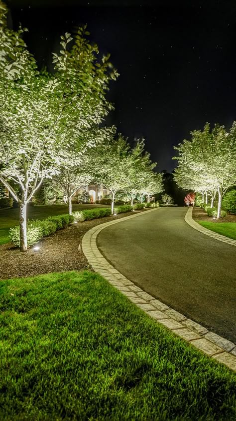 Driveway With Tree In Middle, Lights In Driveway, Lights Down Driveway, Long Driveway Edging Ideas, Driveway Across Front Of House, Drive Around Driveway, Hill Driveway Landscaping, Drive Up Driveway House, Farm Driveway Landscaping