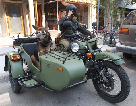 Ural Bike, Biker Dog, Ural Motorcycle, Military Motorcycle, Motos Harley, Motorcycle Sidecar, Motorcycle Art, Cool Motorcycles, Motorcycle Style