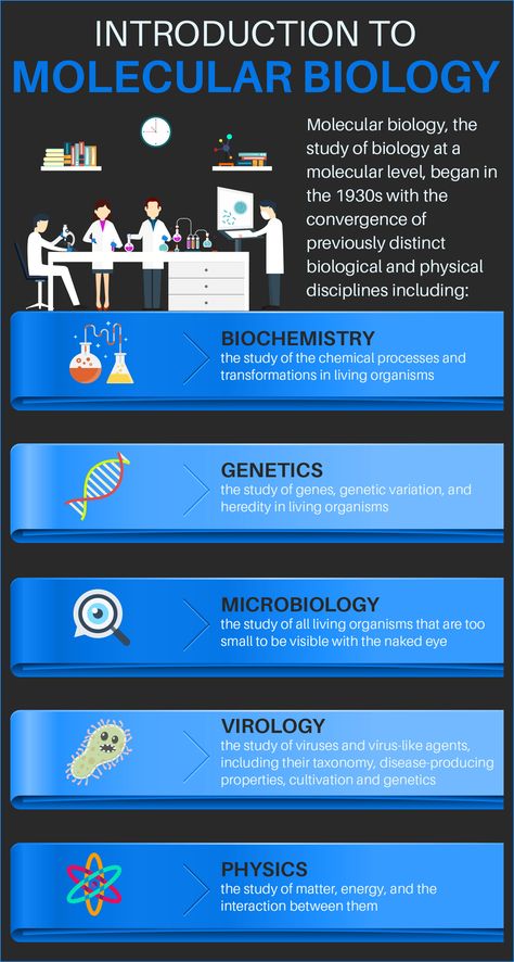 Molecular Cell Biology, Molecular Biology Lab Aesthetic, Biotechnology Wallpapers, Molecular Biology Aesthetic, Molecular Biology Art, Genetics Aesthetic, What Is Biology, Cell And Molecular Biology, Lab Aesthetic