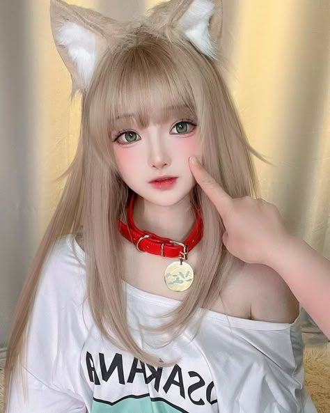 Cute Kawaii Outfits, Cat Cosplay, Cosplay Cute, Cosplay Kawaii, Kawaii Cosplay, Amazing Cosplay, Cute Cosplay, Cosplay Makeup, Cat Girl