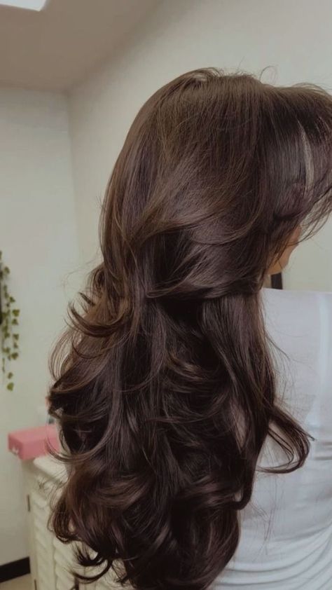 Brushing techniques.
#Haircuts_For_Long_Hair_With_Layers #Hair_Inspiration_Long #Brown_Hair_Inspo #Vlasové_Trendy Butterfly Cut, Butterfly Face, Ribbon Hairstyle, Hair Ribbon, Long Layers, Haircuts With Bangs, Life Tips, Beauty And Lifestyle, Layered Hair