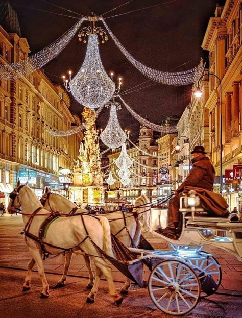 Christmas in Vienna Natal, Vienna Winter, Christmas In Vienna, Berlin Winter, Vienna Christmas, Christmas Dreaming, Christmas In Europe, Christmas Memory, Beautiful Photos Of Nature