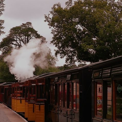 Hogwarts train dark acidemia Train Dark Academia, Train Aesthetic Vintage, Old Trains Aesthetic, Victorian Train Aesthetic, Steam Engine Aesthetic, Steam Train Aesthetic, Vintage Train Station Aesthetic, Old Train Aesthetic, Vintage Train Aesthetic