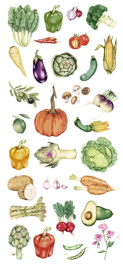 Collection of colorful vegetable illustration | Premium Vector Illustration - rawpixel Christmas Vegetables Side Dishes, Vegetables For Kids, Vegetables Drawing, Christmas Vegetables, Vegetable Drawing, Vegetable Painting, Kids Vegetables, Vegetable Illustration, Colorful Vegetables