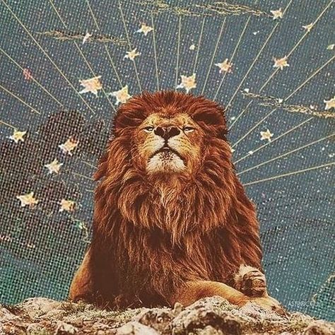 Zodiac Leo Art, Leo Constellation Tattoo, Leo Constellation, Lions Gate, Gemini Season, Leo Season, Lion Art, Zodiac Art, Leo Zodiac