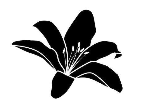 Lily Flower Silhouette, Lily Vector Flower, Flower Shiloutte, Black And White Design Graphic, Black Silhouette Tattoos, Silouette Tattoo Black, Graphic Drawing Black And White, Black Flower Drawing, Silhouette Images Free