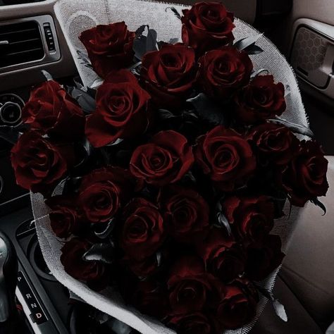 Bunch Of Red Roses, Dark Red Roses, Aesthetic Roses, Red Rose Bouquet, Rosé Aesthetic, Dark Flowers, Flower Therapy, Classy Aesthetic, Red Aesthetic