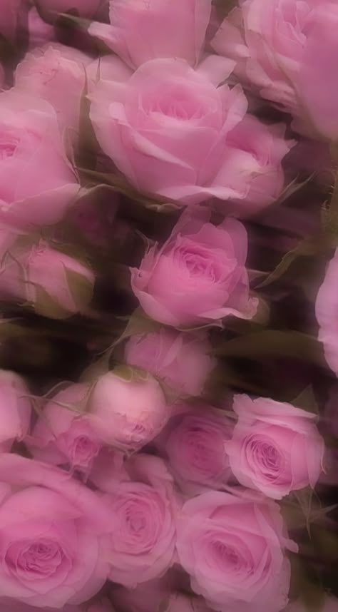 Carcase Iphone, Storybook Cosmetics, Photo Rose, Pink Flowers Wallpaper, Pink Wallpaper Backgrounds, Phone Wallpaper Pink, Cute Flower Wallpapers, Iphone Wallpaper Photos, Pink Wallpaper Iphone