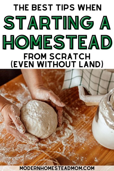 13 must read tips for the beginner homesteader. Start your urban homestead today even without land. How to start Homesteading in an apartment. How to start your homestead garden. Homesteading for Beginners- Guide to Starting a Homestead. First Steps To Homesteading, How To Be A Homesteader, Simple Homesteading Ideas, Things To Start Making From Scratch, How To Start Homesteading Slowly, Homesteading Recipes For Beginners, Homestead Meals Families, Homestead Grocery List, Homestead In Apartment