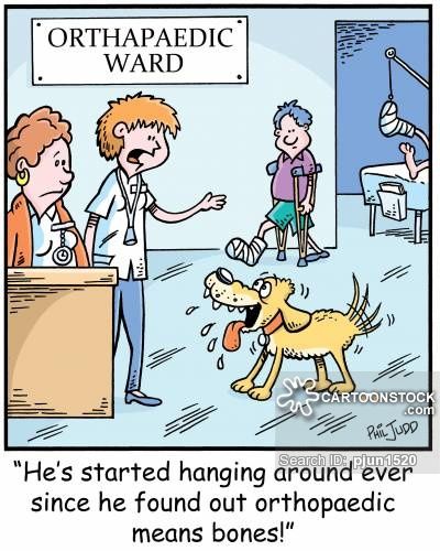 Funny Orthopedic Sayings | Orthopedics cartoons, Orthopedics cartoon, funny, Orthopedics picture ... Orthopedic Humor Funny, Orthopedic Humor, Work Puns, Surgeon Humor, Hospital Cartoon, Surgery Humor, Hospital Humor, Medical Jokes, Get Well Messages