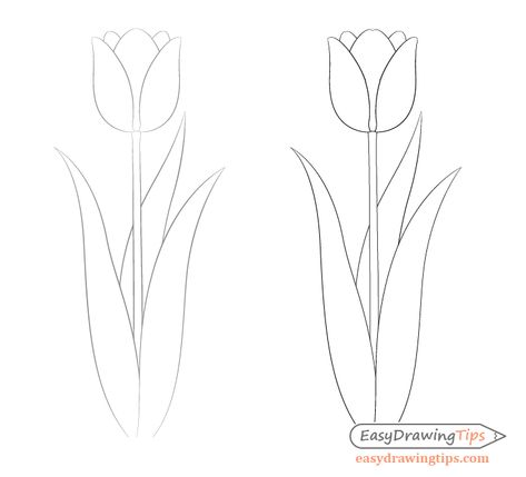 Easy Tulip Drawing Step by Step - EasyDrawingTips Flowers Tulips Drawing, Blue Tulips Drawing, Tulip Illustration Simple, Easy Tulip Painting, Tulip Stencil, Tulip Flower Drawing, Tulip Flower Pictures, Simple Flower Drawing, Tulip Drawing