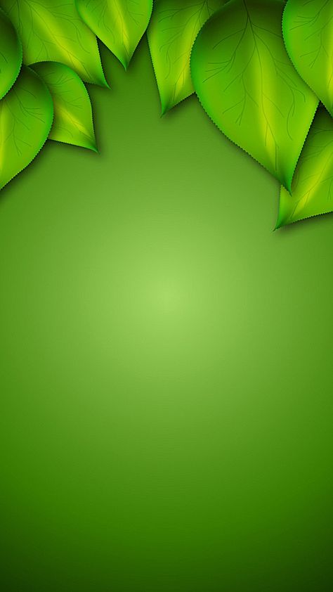 Green Png Background, Beautiful Green Background, Green Background Wallpapers, Green Design Background, Herbal Background, Leave Background, Flash Background, Leaf Green Color, Green Background Design