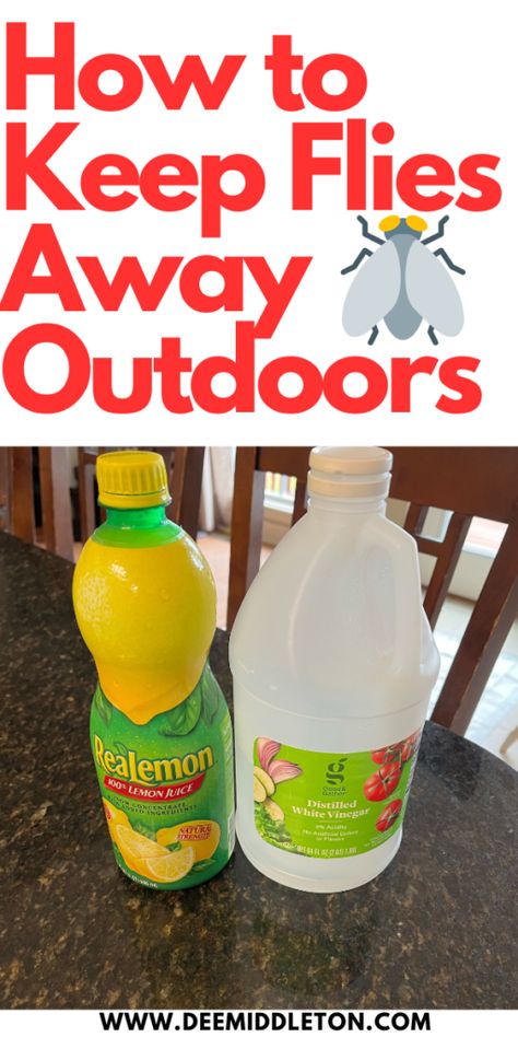 How to Keep Flies Away Outdoors - deemiddleton.com Natural Fly Repellent Indoors, Black Fly Repellant Diy, Fly Repellant Diy Outdoors, Home Remedies For Flies, Diy Flies Repellent, Fly Repellant Diy, Fly Deterrent, Homemade Fly Spray, Natural Fly Repellant