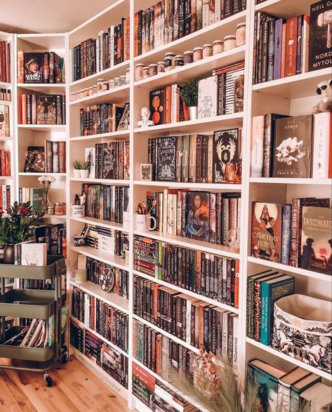 Pretty Bookshelves Aesthetic, Library Room Aesthetic, Bookshelf Arrangement, Book Room Ideas, Home Library Aesthetic, Cute Library, Bookshelves Aesthetic, Bookshelf Inspo, Dream Home Library