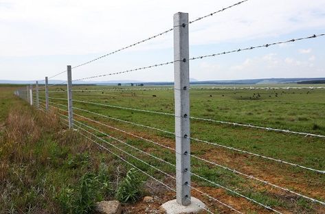 10 Best Farm Fence Ideas - Hello Lidy Farm Fence Diy, Wire Fence Ideas, Barb Wire Fence, Concrete Fencing, Concrete Fence Posts, Barbed Wire Fencing, Wire Mesh Fence, Black Fence, Concrete Posts