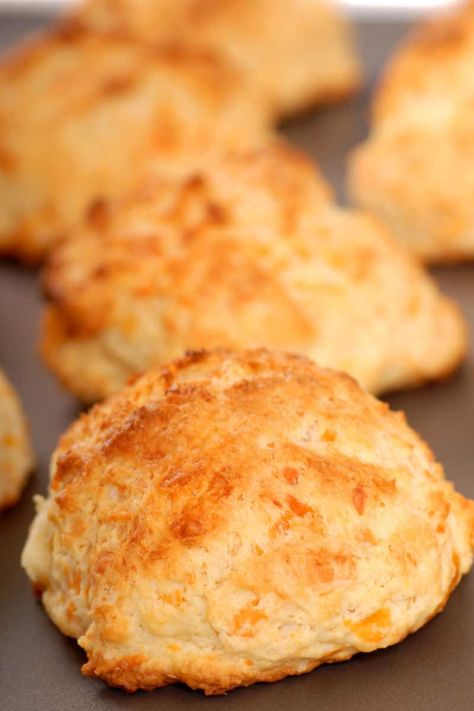 These coconut flour biscuits are soft, fluffy and tender on the outside, you won't believe they need just 4 ingredients! Coconut Flour Biscuits, Maple Ham, Recipes Using Coconut Flour, Savory Biscuits, Bacon Biscuits, Fig Preserves, Savory Sides, The Chew Recipes, Baking With Coconut Flour