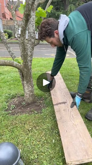 478K views · 1.9K reactions | Creating a satisfying lawn edge. How to create a square edge around a tree using a straight piece  of wood. #satisfying #lawnedging #howto #edging #wood #straightwood #satisfyingvideo #edgingtok #tools #handtools #transformation  
#Virals | Siena Yoder | Siena Yoder · Original audio Lawn Edging, Satisfying Video, Lawn Care, Siena, A Tree, Lawn, Piano, To Create, Audio