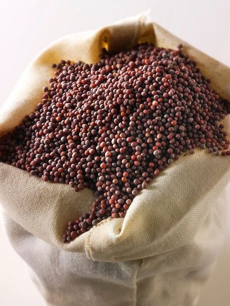 Mustard Recipes, Honey Mustard Recipes, Black Mustard Seeds, Mustard Oil, Mustard Seeds, Spice Tea, Spice Box, Kitchen Spices, Food Forest