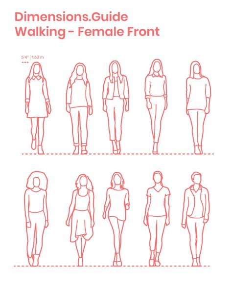 Assortment of women walking in front profile with various postures and clothing styles. This group of females has an average height set at 5’4” | 1.63 m. Outlined and detailed silhouettes are available. Downloads online #humans #people #women #females #walking Archicad Template, Posture Drawing, Women Standing, Front Profile, Human Figure Sketches, Average Height, Sketches Of People, Human Drawing, Exhibition Booth Design