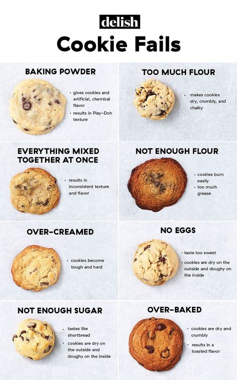 Food, Cookies and crackers, Cookie, Snack, Dish, Chocolate chip cookie, Baking, Cuisine, Ingredient, Baked goods, Cookie Differences, Types Of Desserts List, Savory Cookies, Baking Chocolate Chip Cookies, Birthday Cake Decorating Ideas, Food Cookies, Baking Chocolate, Types Of Desserts, Cookie Snack