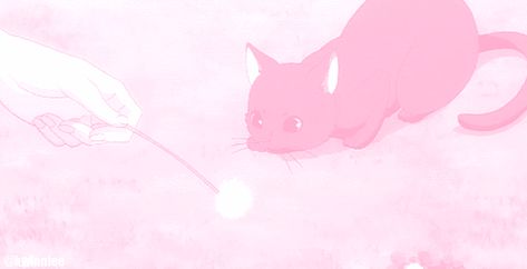 Pink Cat Banner, Cat Banner, Pink Banner, Tumblr Page, Please Follow Me, Pink Cat, Short Story, Tokyo Revengers, My Baby