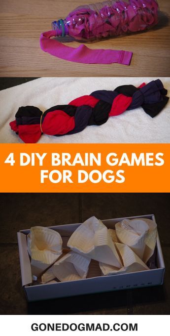 Nosework Games For Dogs, Puppy Enrichment Ideas, Dog Boredom Busters Diy, Games For Dogs, Canine Enrichment, Dog Boredom, Homemade Dog Toys, Brain Games For Dogs, Dogs Diy Projects