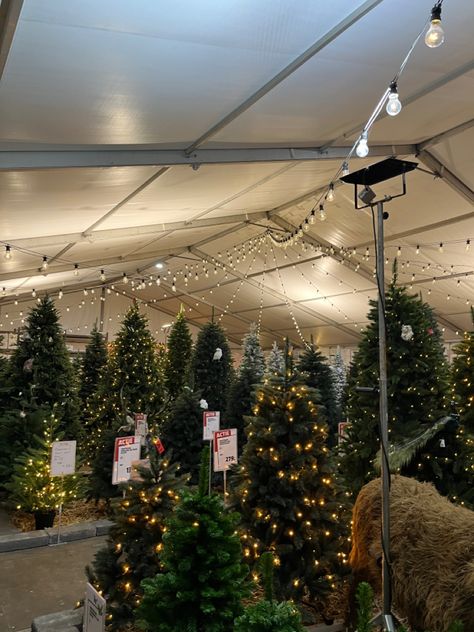 Christmas Uk Aesthetic, Christmas Farm Aesthetic, Uk Christmas Aesthetic, Garden Centre Aesthetic, Christmas Markets, Amsterdam Aesthetic Christmas, Christmas Tree Farm Aesthetic, Chrstimas Tree Farm, Christmas Tree Lots