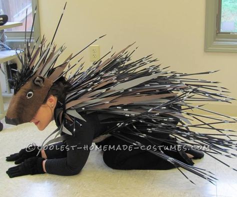 This porcupine costume took about 30 dollars and I won a trophy, first place $100 dollar cash prize, and $40 dollars third place at an Old Hole in the Wall Porcupine Costume, Geek Outfit, Baby Kostüm, Costume Tutorial, Animal Costumes, Homemade Costumes, Fantasias Halloween, Costume Contest, Cute Costumes