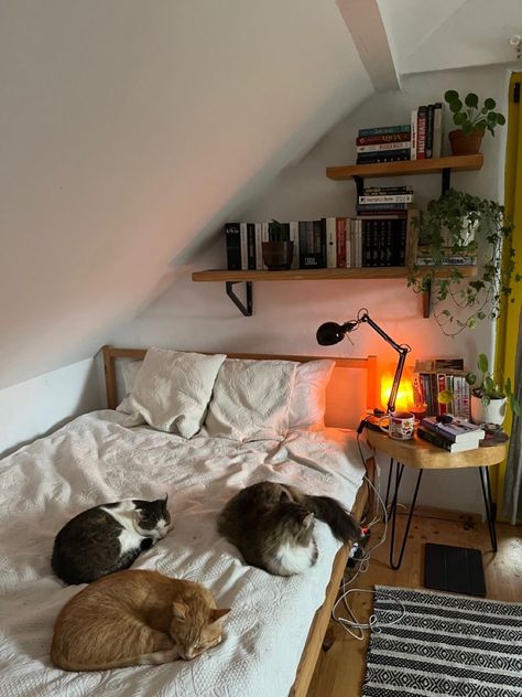 Bedroom Summer, Bedroom Remodeling, Zimmer Diy, Room Redesign, Cats Aesthetic, Redecorate Bedroom, Cozy Room Decor, Dreamy Room, Dream Room Inspiration