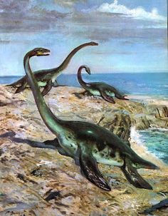 Plesiosaurus; Early Jurassic (199.6 - 175.6 Ma); Sauropterygia (plesiosauria); Described by Conybeare, 1821 Jurassic World Poster, Vintage Dinosaur, Prehistoric Wildlife, Dinosaur Images, Dinosaur Illustration, Prehistoric World, Prehistoric Art, Ancient Animals, West Art