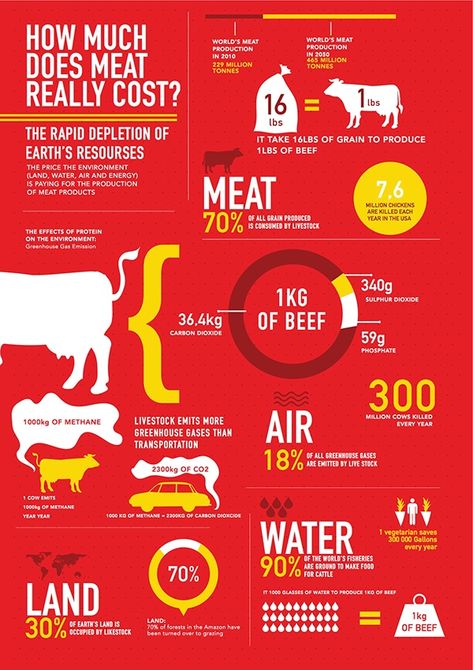 Infographic - How Much Does Meat Really Cost? on Behance Food Infographic Poster, Meat Infographic, Karabo Poppy, Vegan Infographics, Infographic Food, Animal Infographic, Food Infographic, Graphic Design Infographic, Infographic Poster