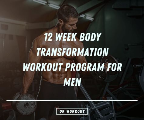 Do you know that you can achieve your desired body shape in just 12 weeks? Here, we introduce a body transformation program that helps men achieve their dream physique in 12 weeks by dividing the Body Transformations Male, Transformation Workout Plan, Workout Programs For Men, 8 Week Body Transformation, 12 Week Body Transformation, 12 Week Transformation, 12 Week Workout, Transformation Workout, Dream Physique