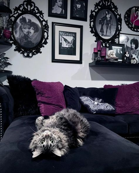 Black Aesthetic Home Decor, Goth House Ideas, Goth House Interior, Garage Halloween Party, Spooky Room Decor, Outdoor Decorations Halloween, Taxidermy Diy, Goth Living Room, Garage Halloween