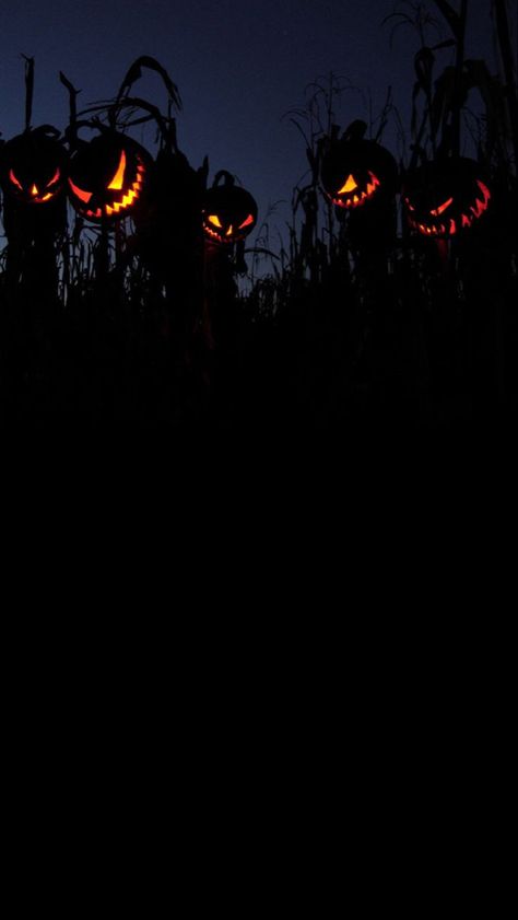 Iphone Wallpaper Spooky Aesthetic, Halloween Aesthetic Phone Wallpaper, Dark Halloween Iphone Wallpaper, Spooky Iphone Wallpaper Aesthetic, Halloween Dark Aesthetic Wallpaper, Halloween Screensavers Wallpapers, Halloween Wallpaper Iphone Aesthetic Dark, Spooky Phone Backgrounds, Dark Fall Wallpaper Iphone