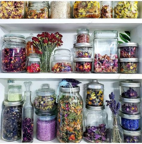 Herbal Medicine Cabinet, Herbal Apothecary, Flower Collection, Tea Bar, Kitchen Witch, Green Witch, Edible Flowers, Tea Blends, Tea Shop