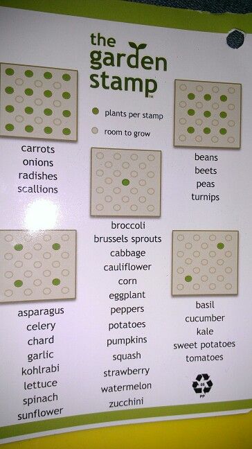 Gardenstamp.com for seed plant spacing especially for your square foot garden! Indoor Herb Garden Diy, Urban Balcony, Vertical Herb Gardens, Square Foot Garden, Edible Landscape, Container Herb Garden, Shtf Survival, Diy Herb Garden, Garden Plans