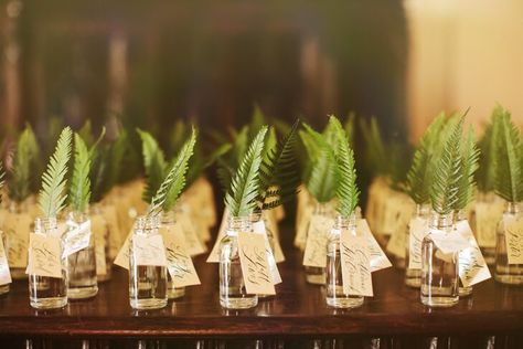 Forest Wedding, Fern Wedding Decor, Fern Centerpiece, Fern Bouquet, Fern Wedding, Bottle Centerpieces, Eco Wedding, Botanical Wedding, Woodland Wedding