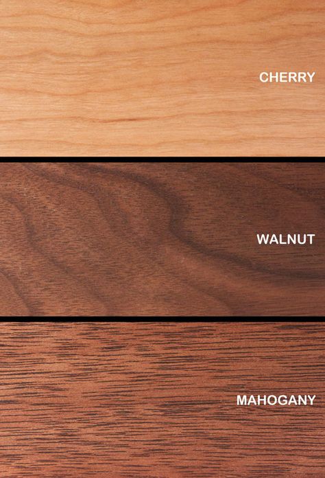 Cherry, Walnut, Mahogany diagram. Cherry Wood Stain, Walnut Wood Texture, Types Of Wood Flooring, Materials Board Interior Design, Mahogany Furniture, Wood Stain Colors, Material Board, Wood Sample, Different Types Of Wood