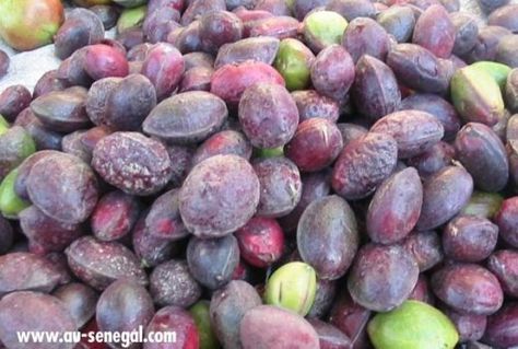 Guerte Toubab Cameroon Food, Nature Food, Travel Goals, Permaculture, Fruit Trees, Plum, Tourism, Grapes, Trees