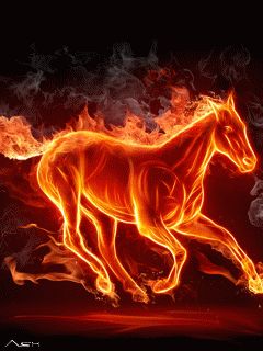 ♞Horse•GiF♘ Denver Broncos Wallpaper, Tamil Music, Broncos Wallpaper, Fire Horse, Go Broncos, Tron Legacy, Fire Photography, Horse Wallpaper, Fire Art